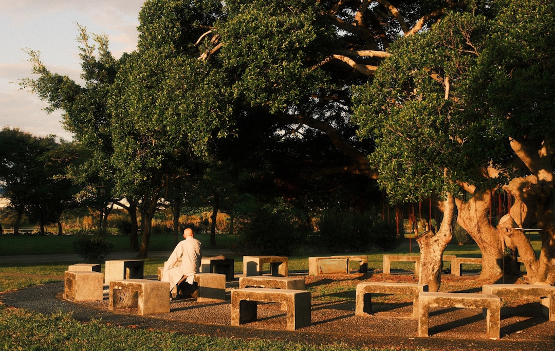 build a meditation practice from scratch - Person sitting on stone bench under large tree