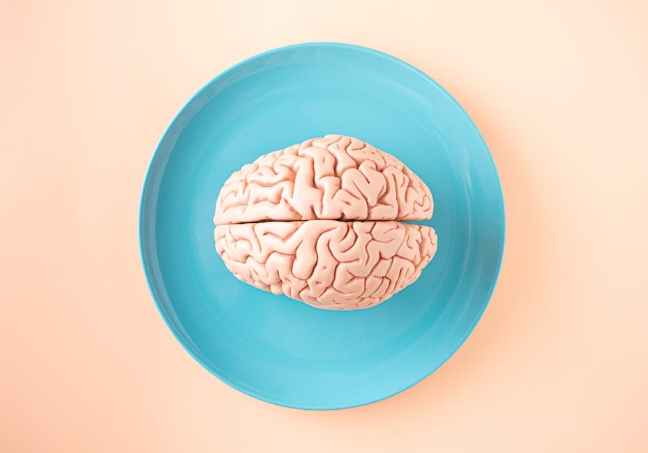 psychology of habit formation and streaks - A human brain model placed on a blue plate, viewed from above against a pastel background.