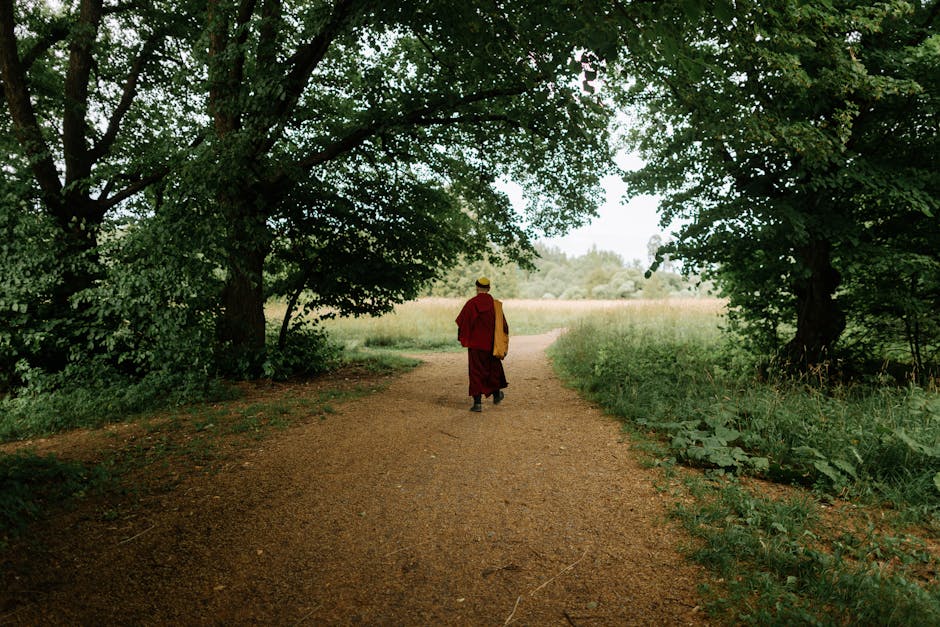 ADHD mindfulness - A serene forest path with a solitary monk walking under lush green trees, evoking peace and contemplation.
