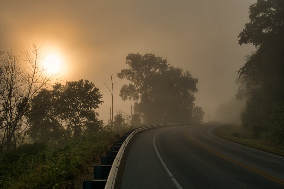 mindful commute - A peaceful sunrise over a foggy, winding country road surrounded by lush trees in Alma, Wisconsin.