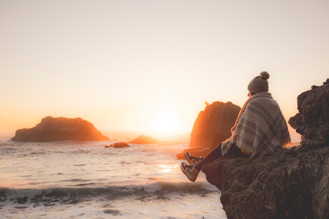 mindfulness news May 2026 - a person sitting on a rock looking out at the ocean