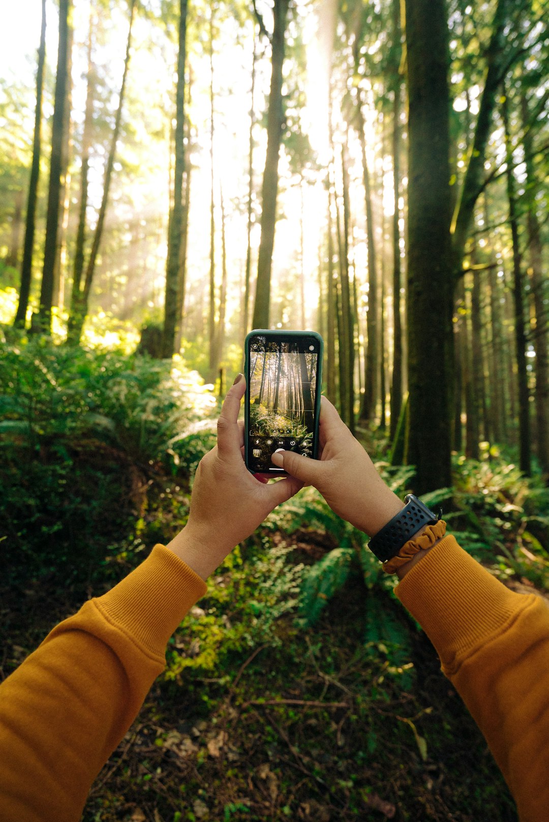 Digital Detox