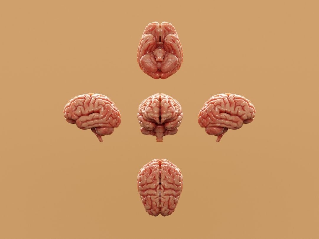 mindfulness and mental wellness - Various perspectives of a human brain are displayed.