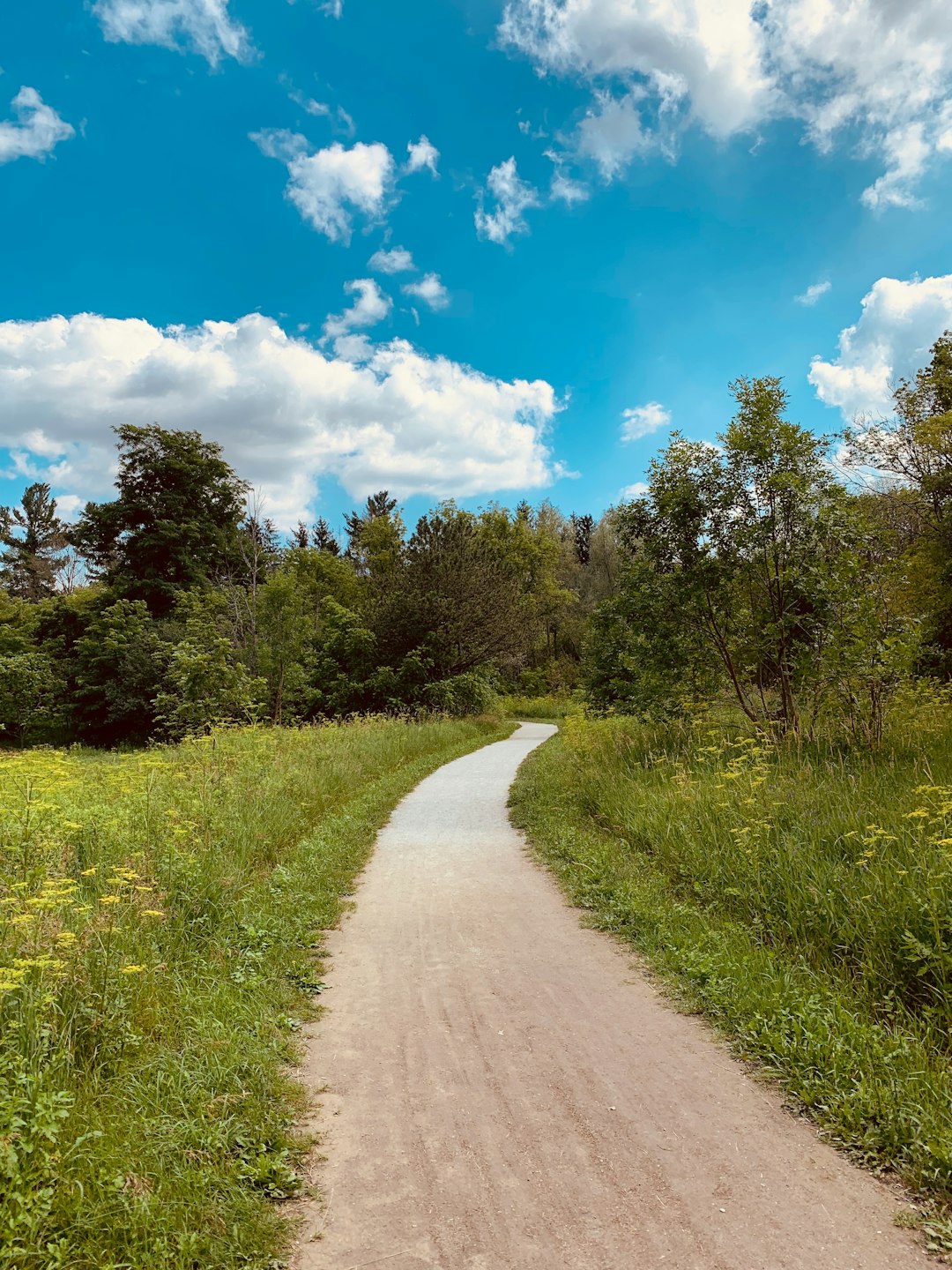 Mindful Walking