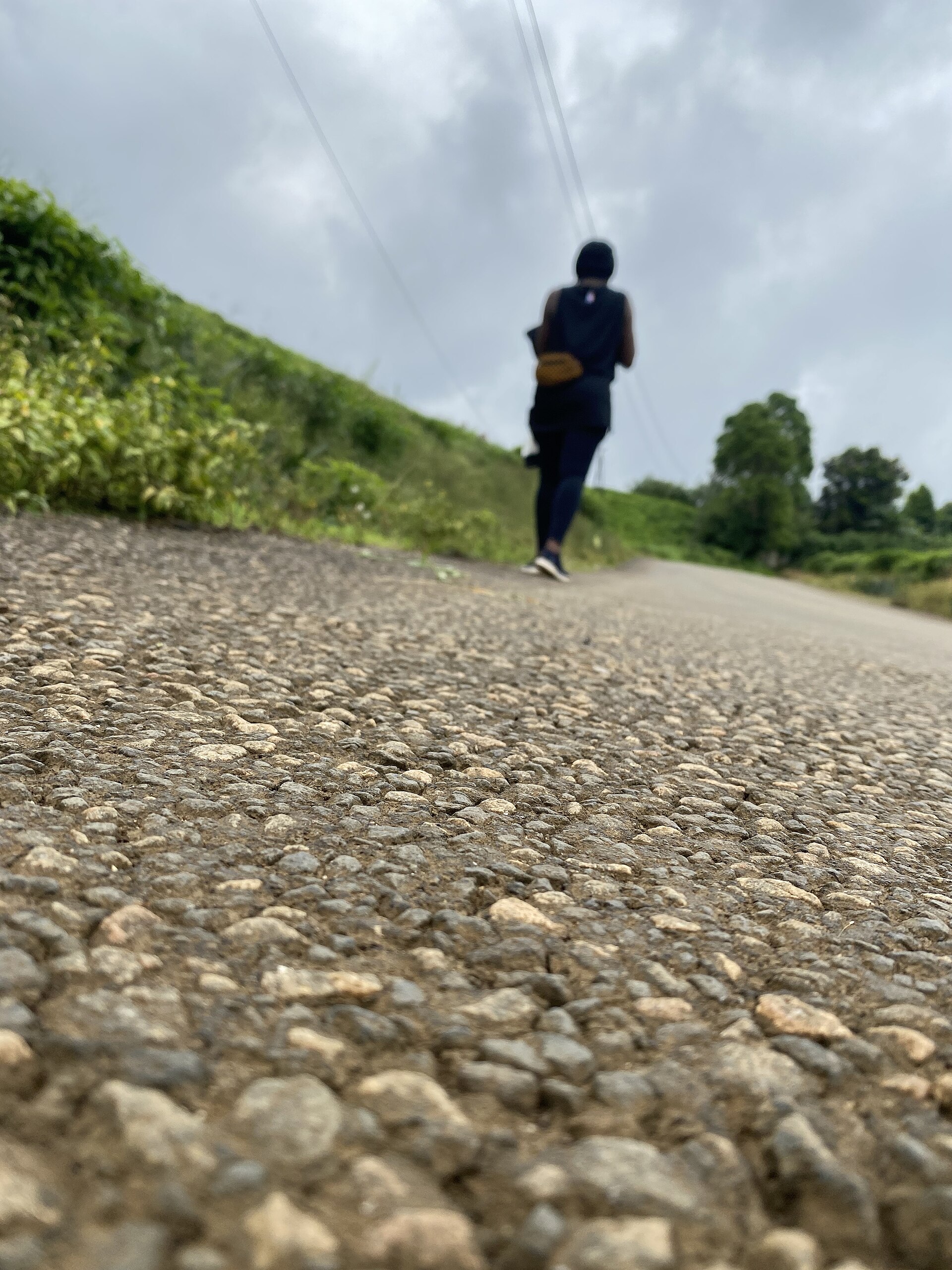 morning habit routine without willpower