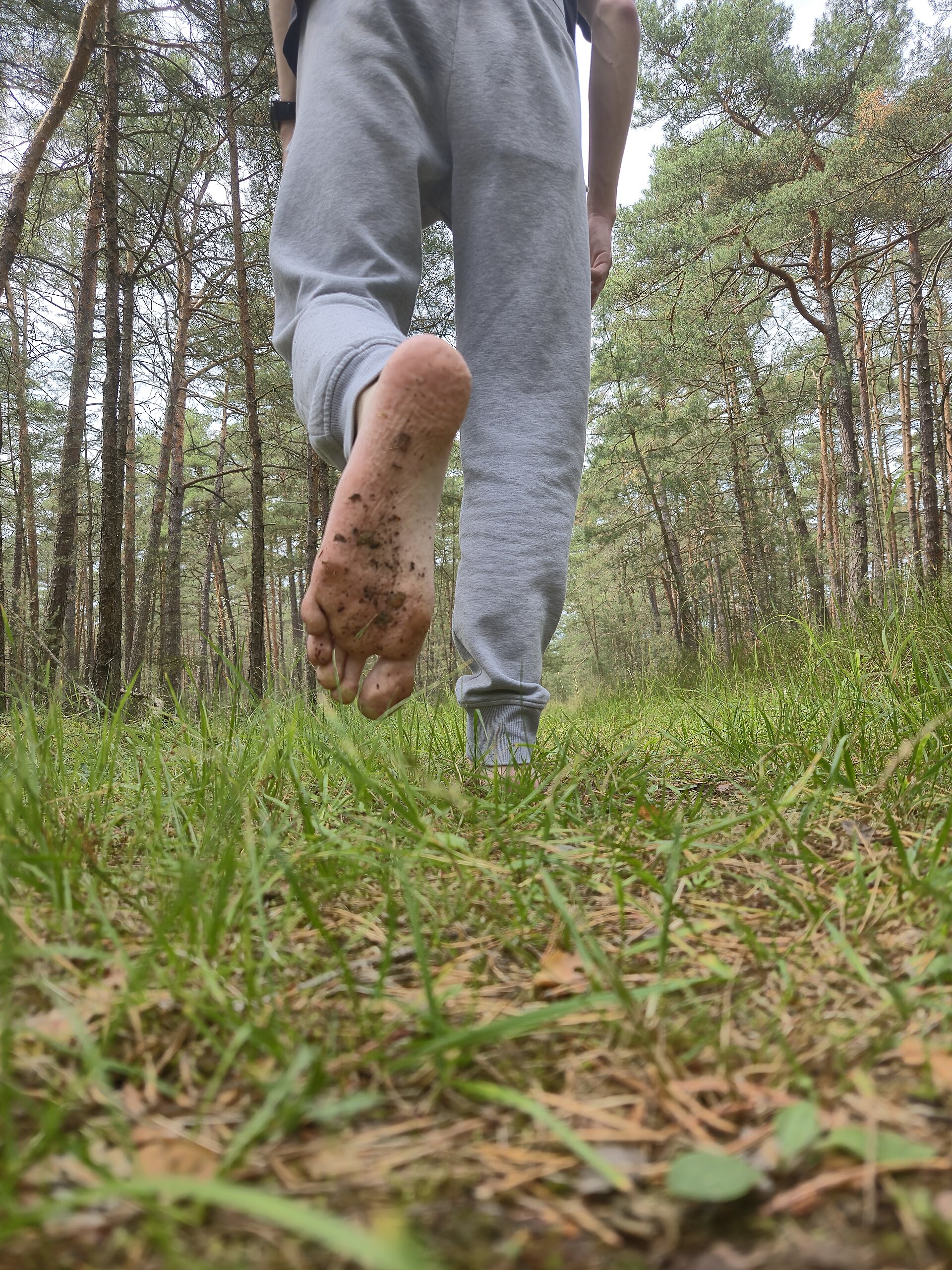 Ecotherapy