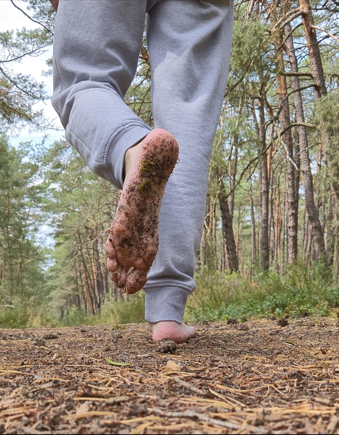 Ecotherapy