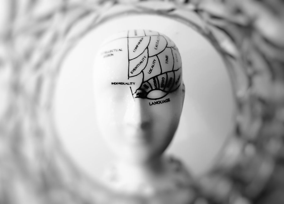 mental wellness - Close-up black and white image of a phrenology head with brain sections labeled.