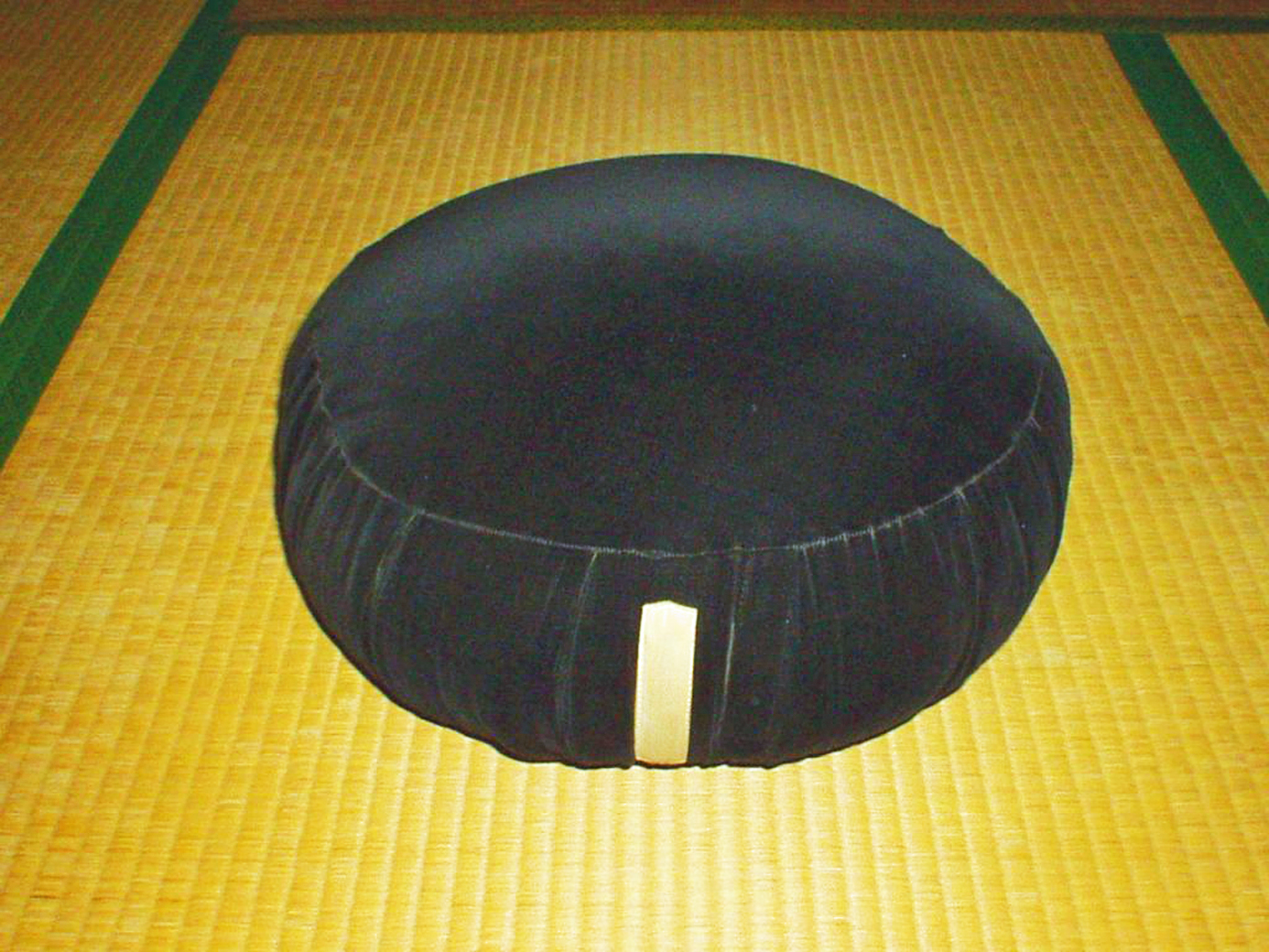 Meditation Cushion for Beginners