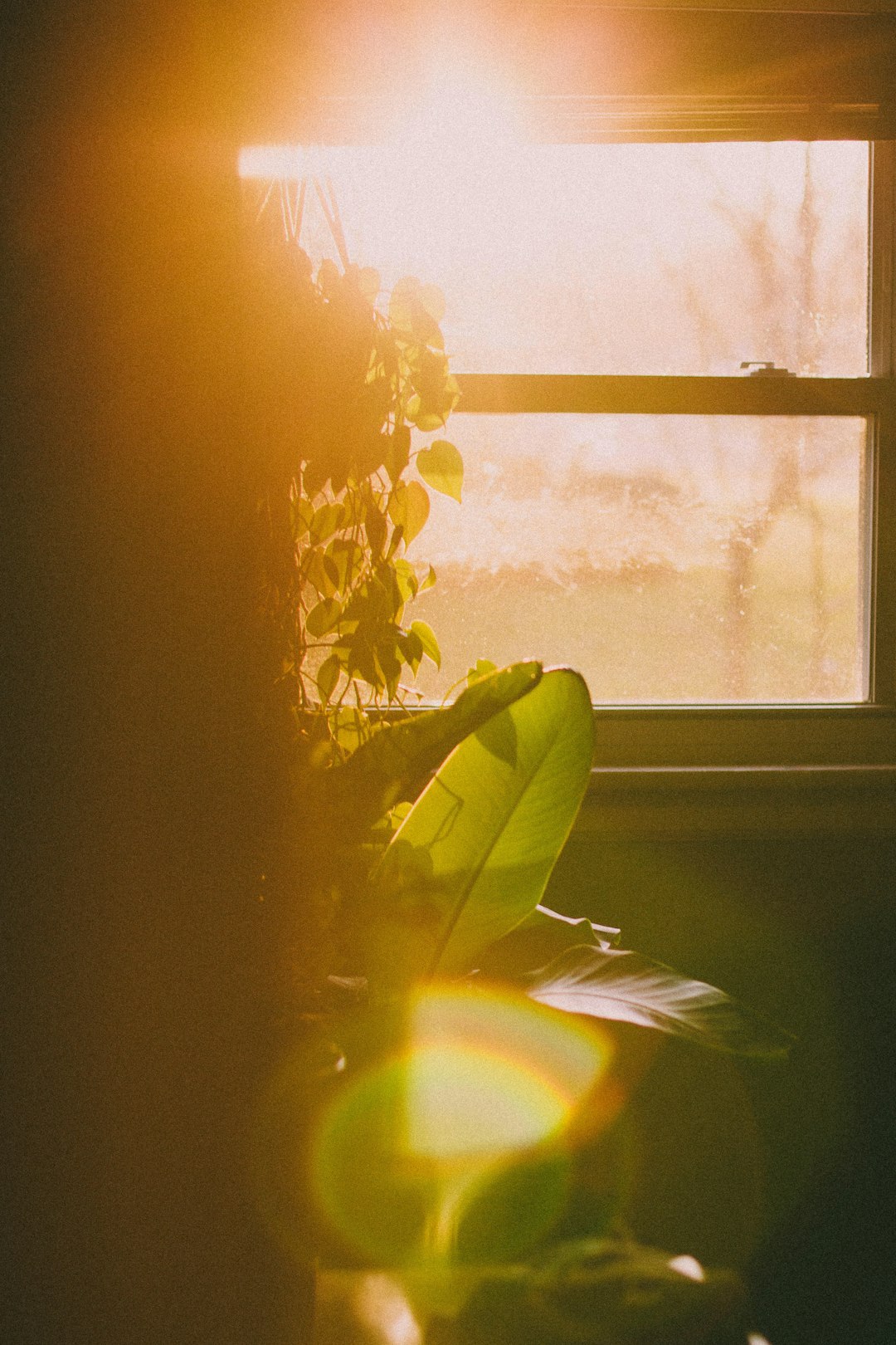 Tiny morning habits under 5 minutes