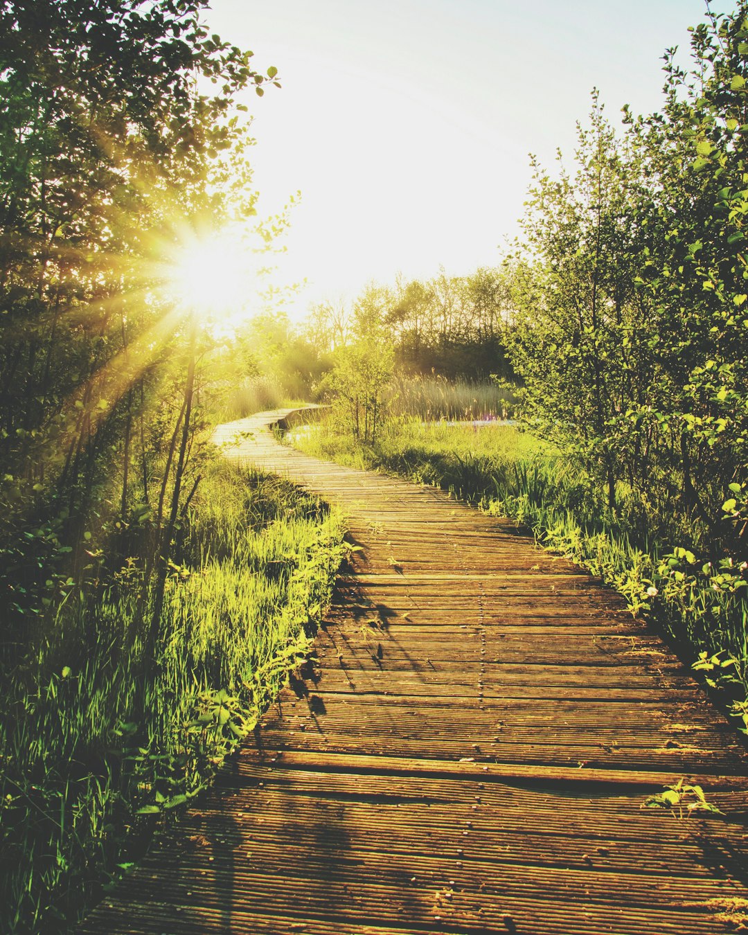 Daily mindful intention setting