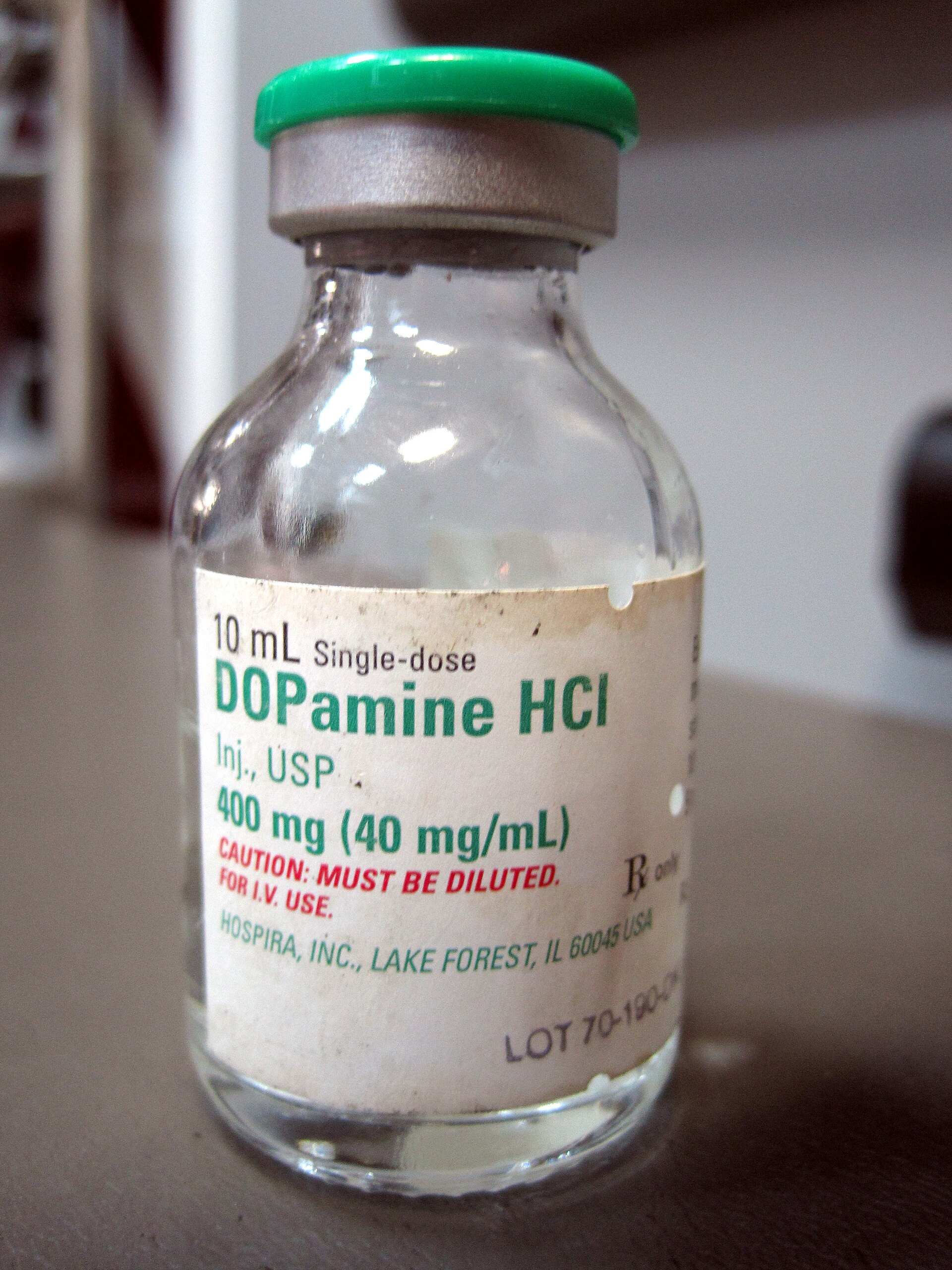 Dopamine and habit formation
