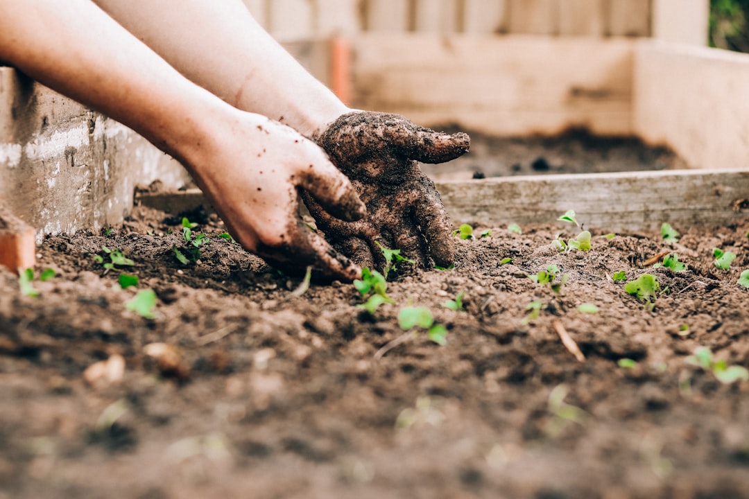 Mindful gardening