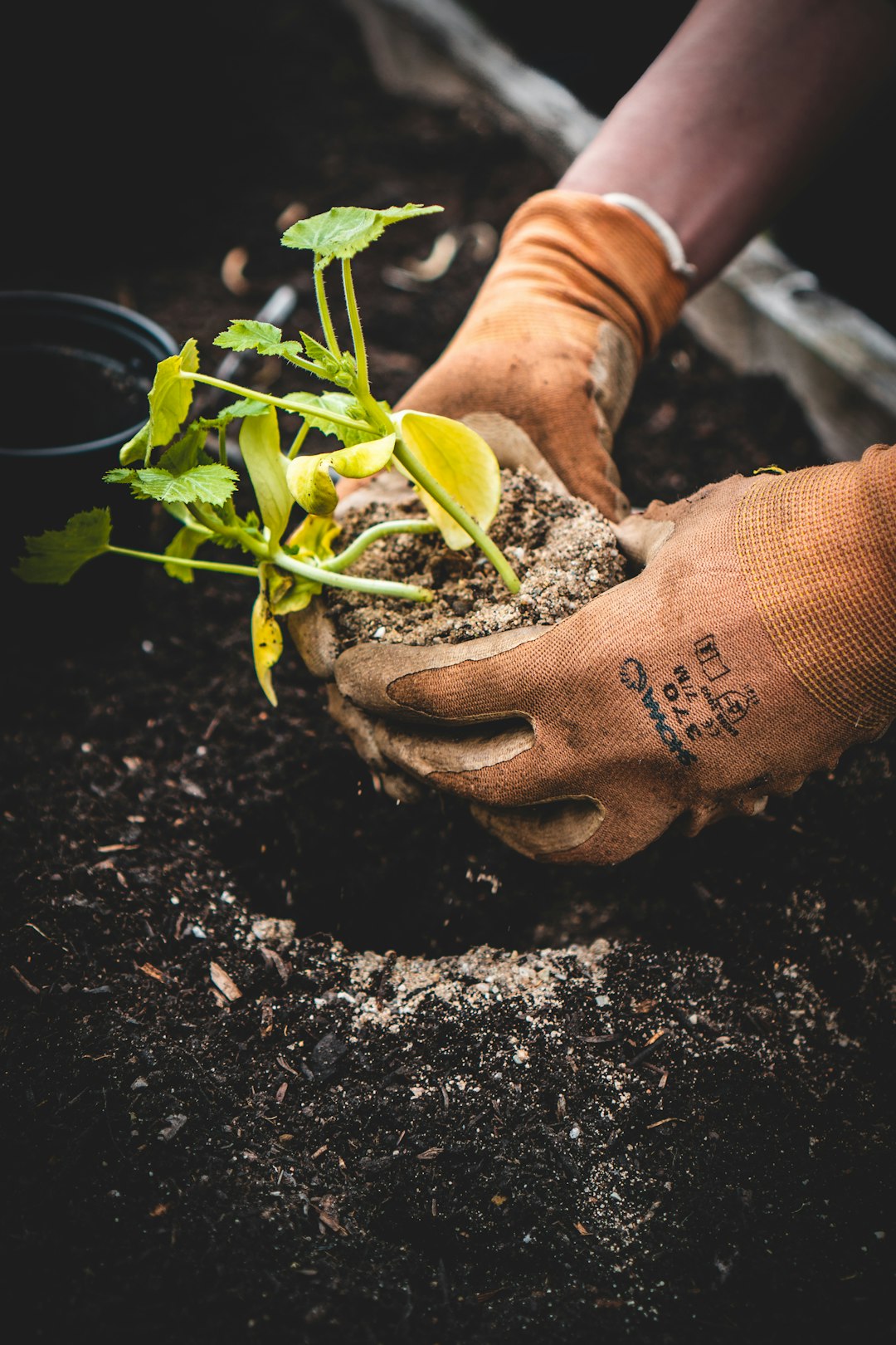 Mindful gardening