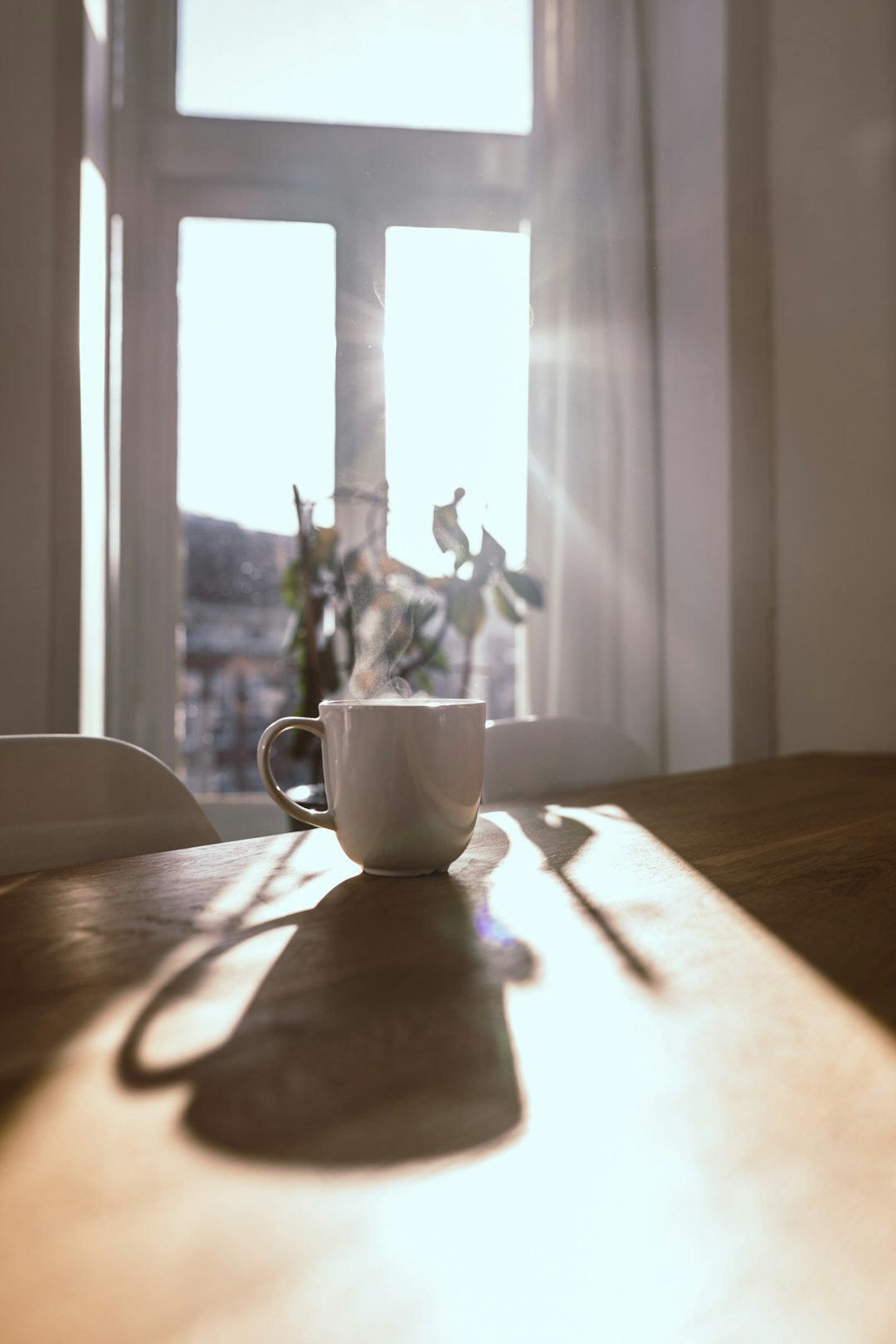 Morning routines for night owls