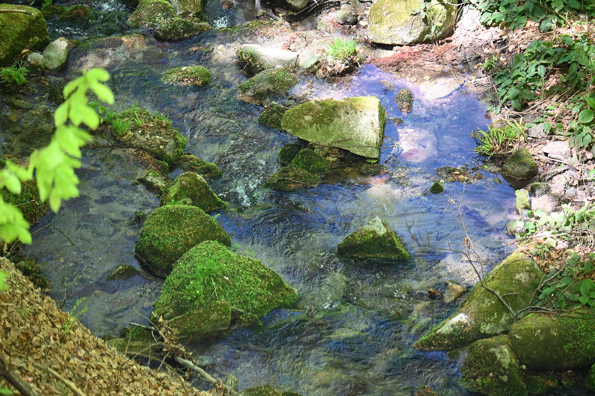 Nature sounds for mindfulness