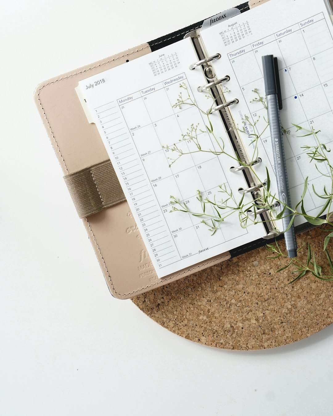 Budget and Saving Habit Tracker