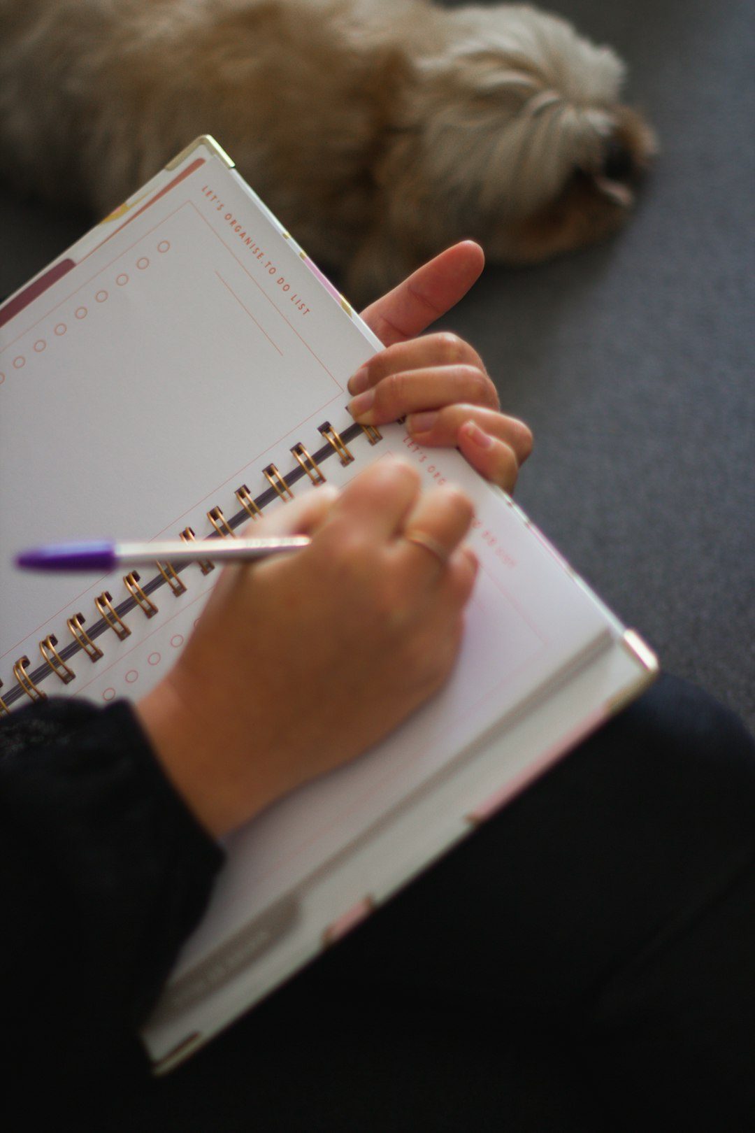 Pet Care and Training Habit Tracker